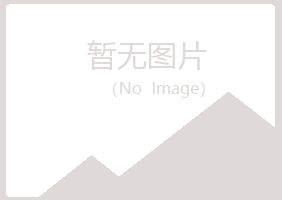 偃师从灵会计有限公司